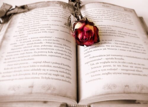 書籍とバラのお花