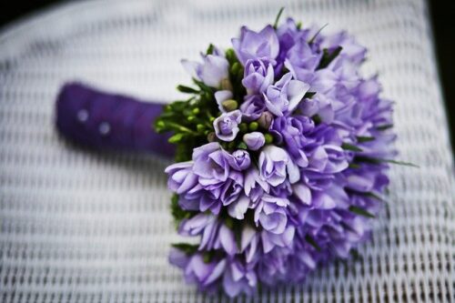 紫のお花