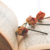 枯れたバラのお花と書籍